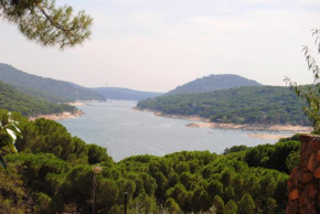 A Orillas Del Lago